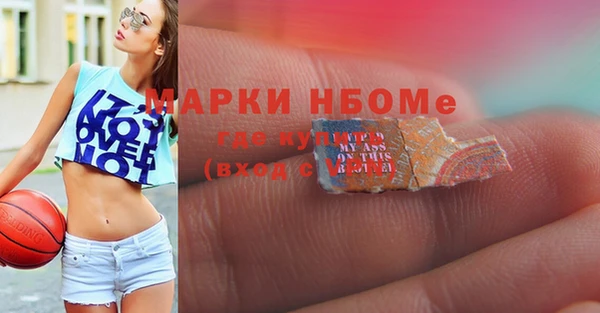 индика Армянск