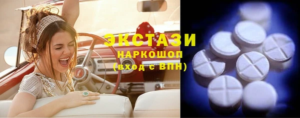 индика Армянск