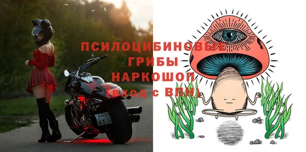 кокс Аркадак