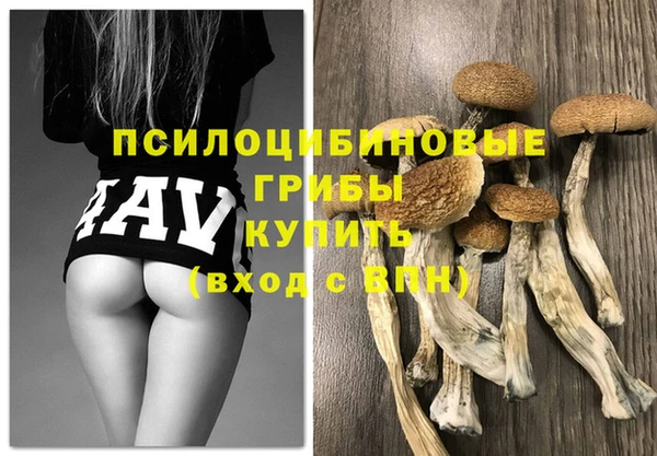 индика Армянск