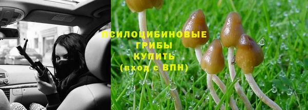 круглые Арсеньев